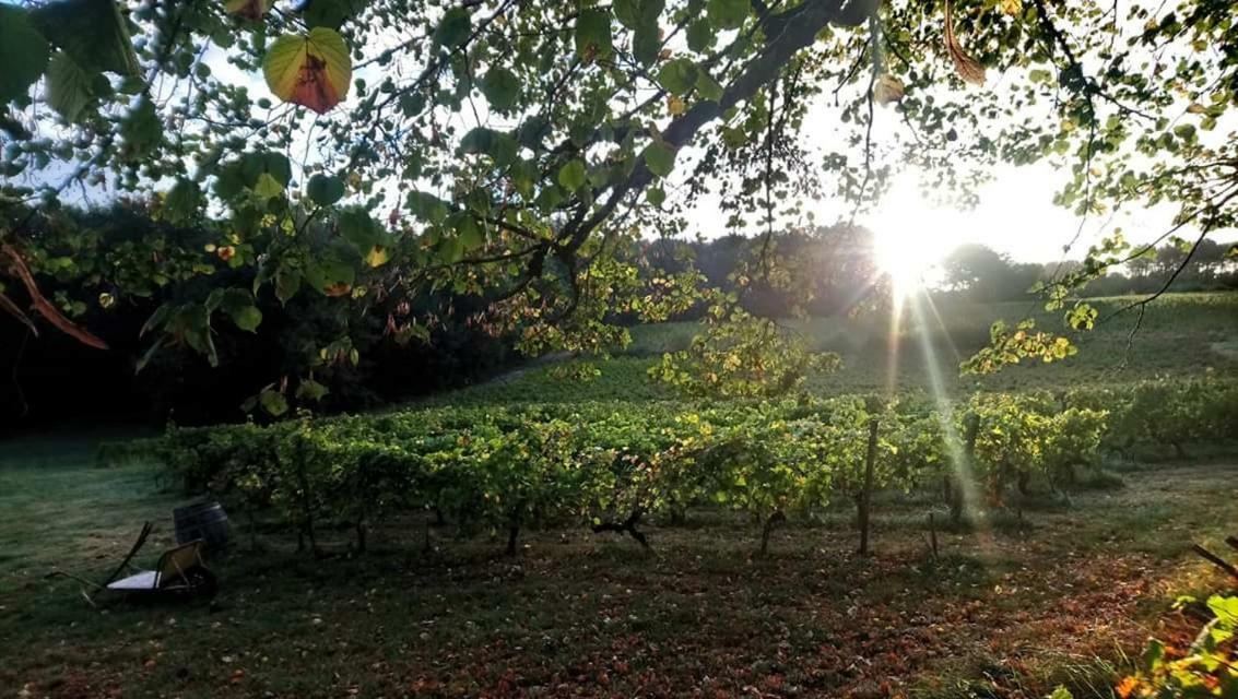 Chateau Regaldo-Saint Blancard Salleboeuf Bagian luar foto