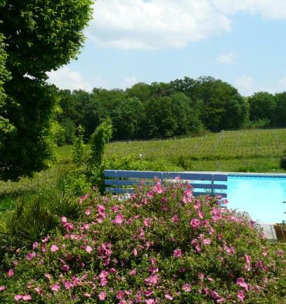 Chateau Regaldo-Saint Blancard Salleboeuf Bagian luar foto