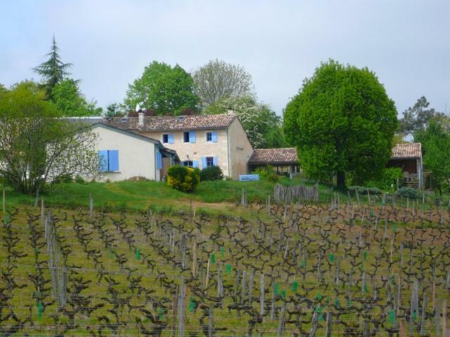 Chateau Regaldo-Saint Blancard Salleboeuf Bagian luar foto