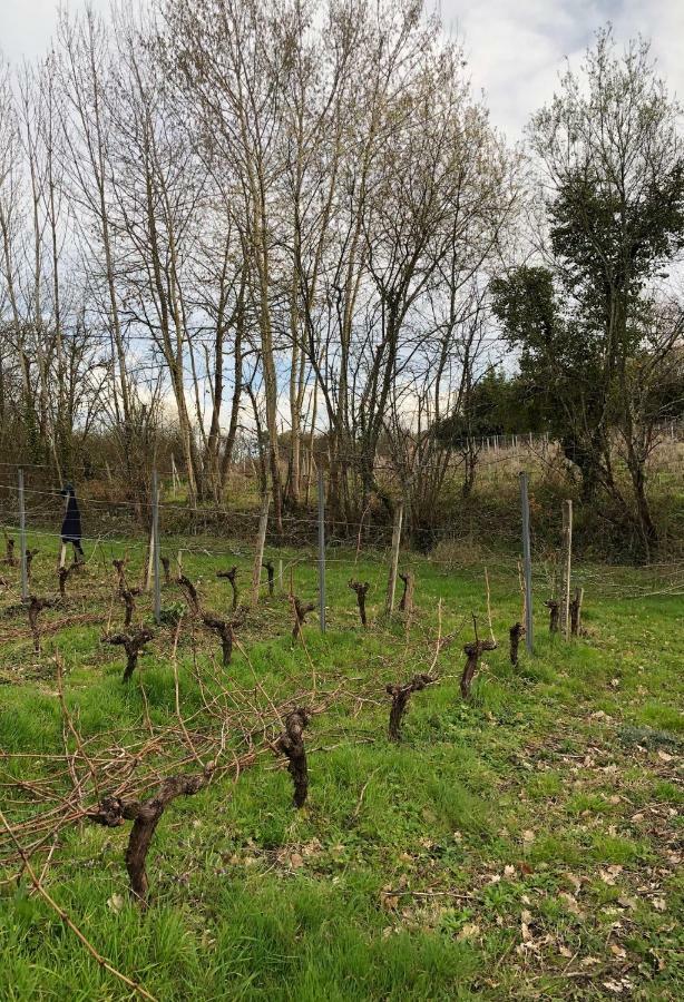 Chateau Regaldo-Saint Blancard Salleboeuf Bagian luar foto